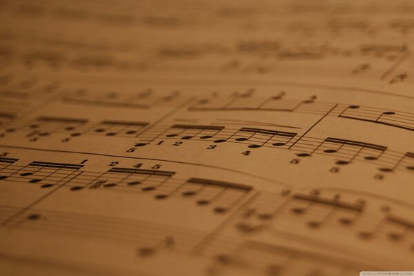 Que nous dira la notation musicale?