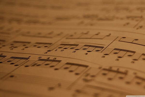 Cosa ci dirà la notazione musicale?
