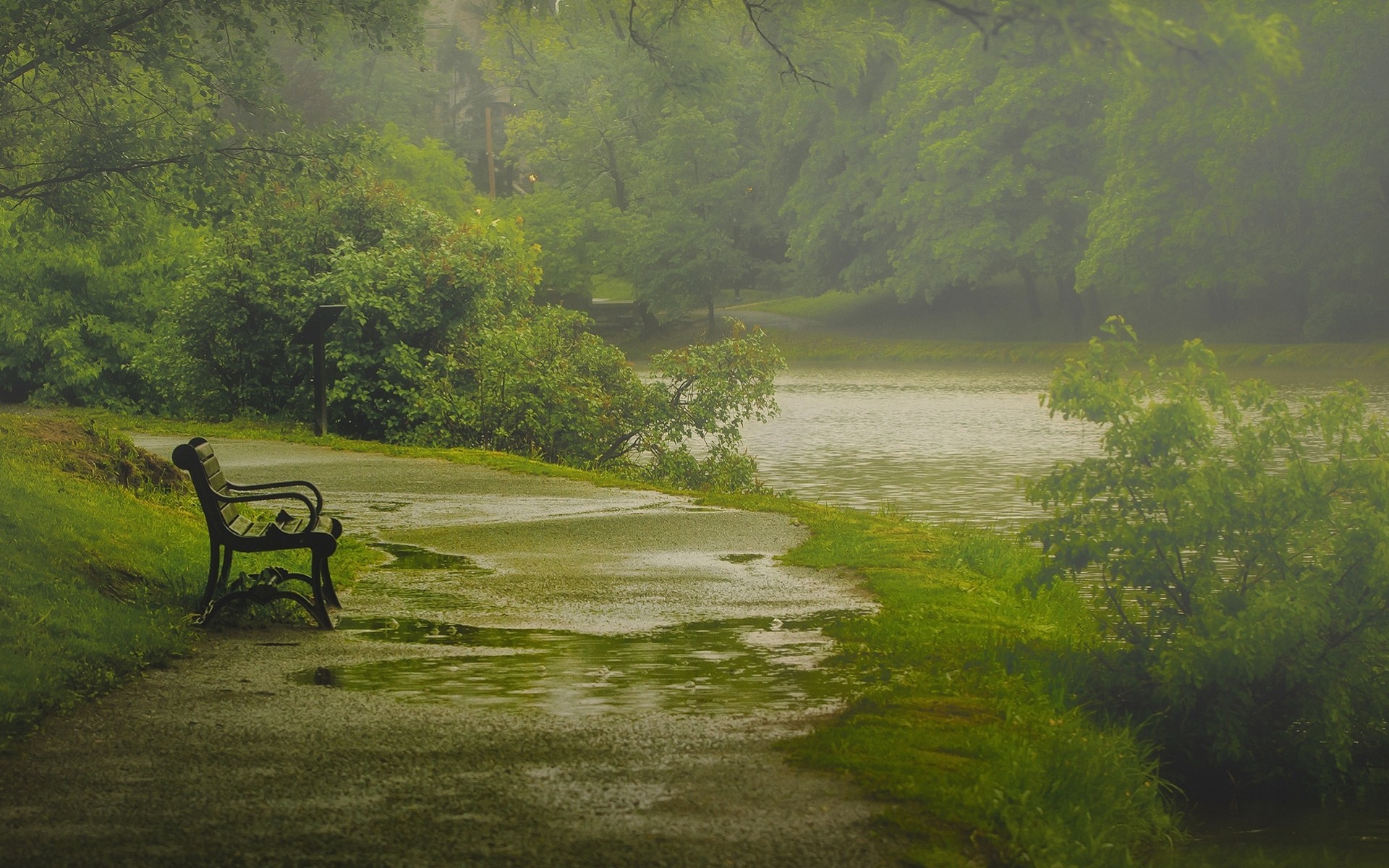 washington park ławki deszcz natura ławka wiosna