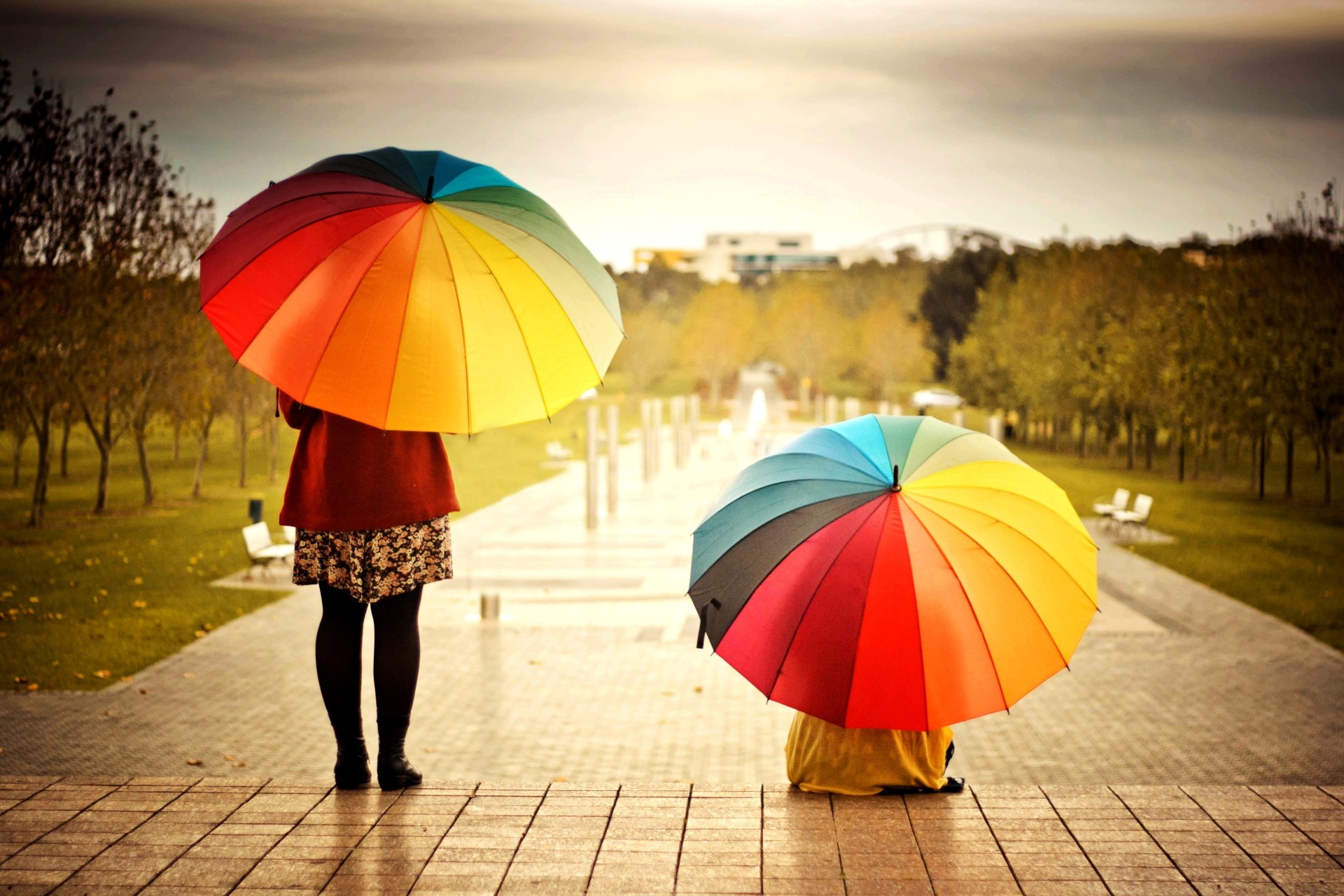 grand écran positif fille humeur fond d écran fond arbres parapluies ville parapluie femme couleurs plein écran lumineux gens