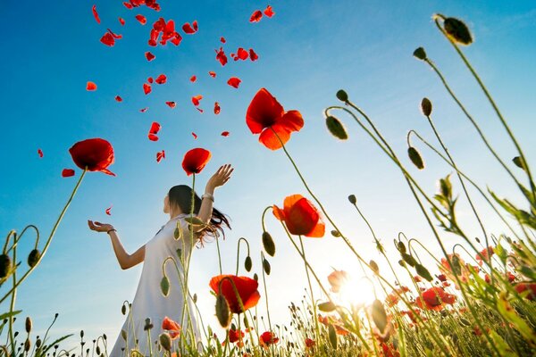 Fille en blanc sur un champ de pavot