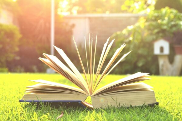 Libro aperto sull erba verde in una giornata di sole