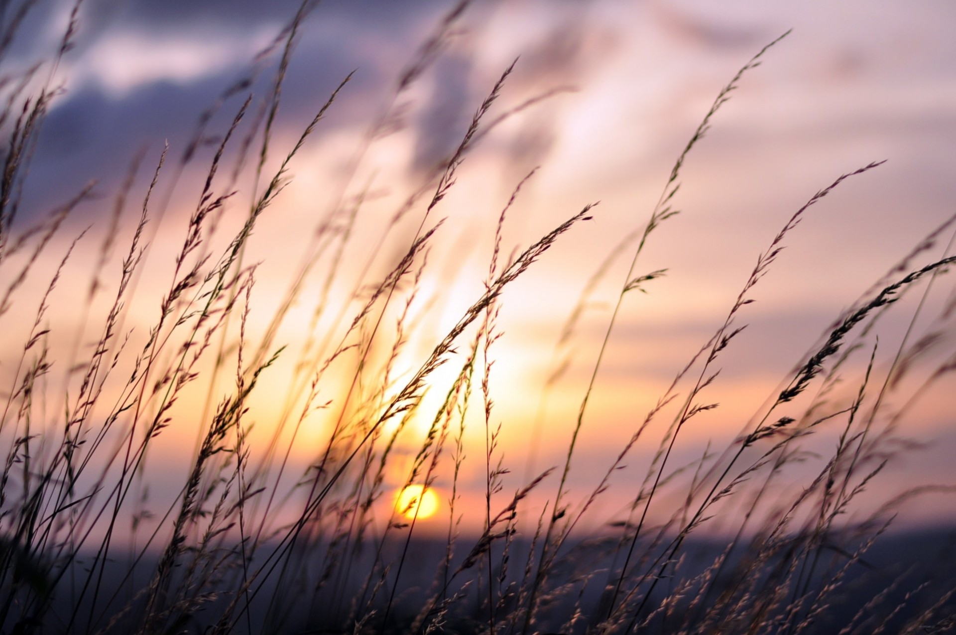 campo tramonto collina