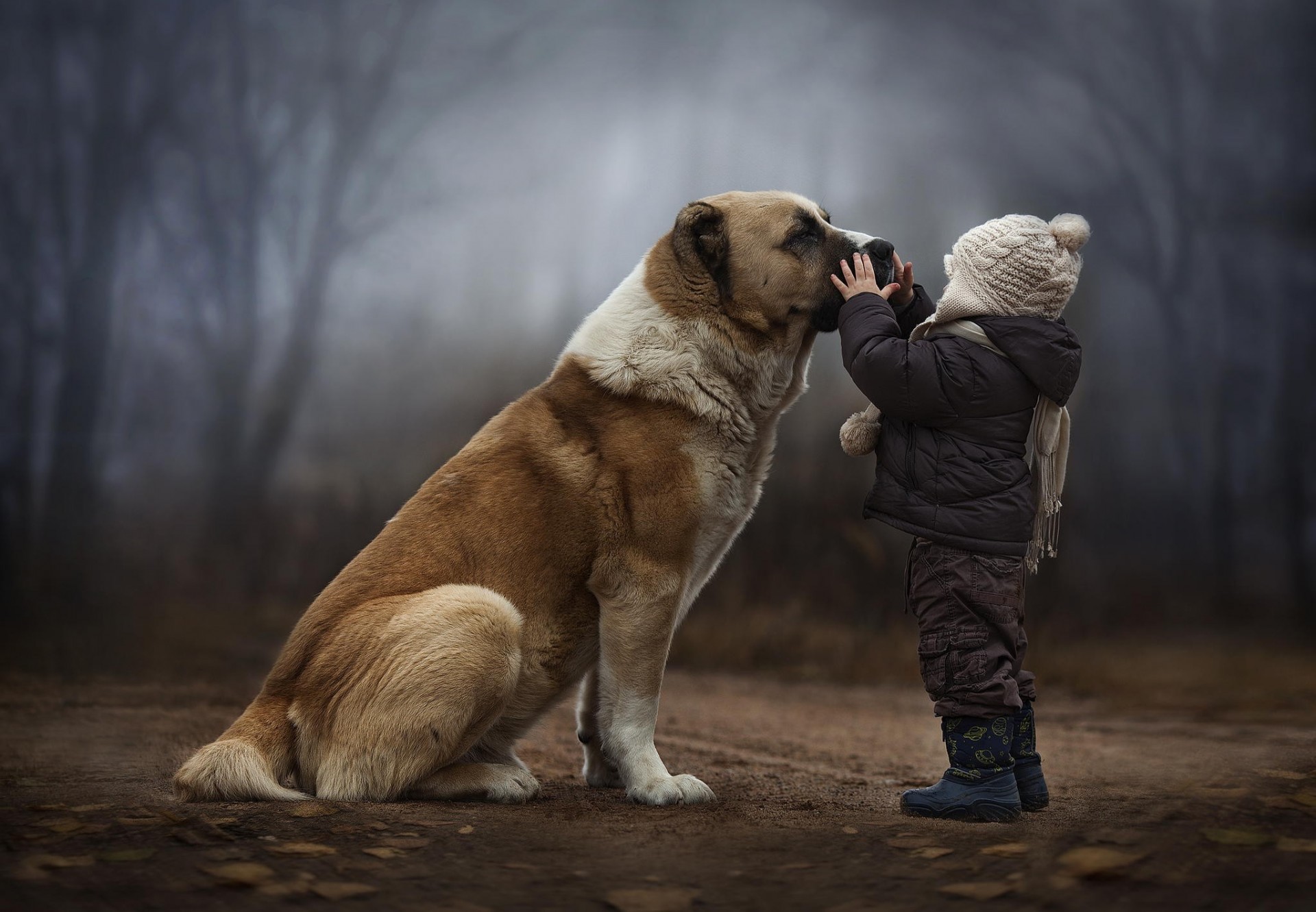 amistad perro niño