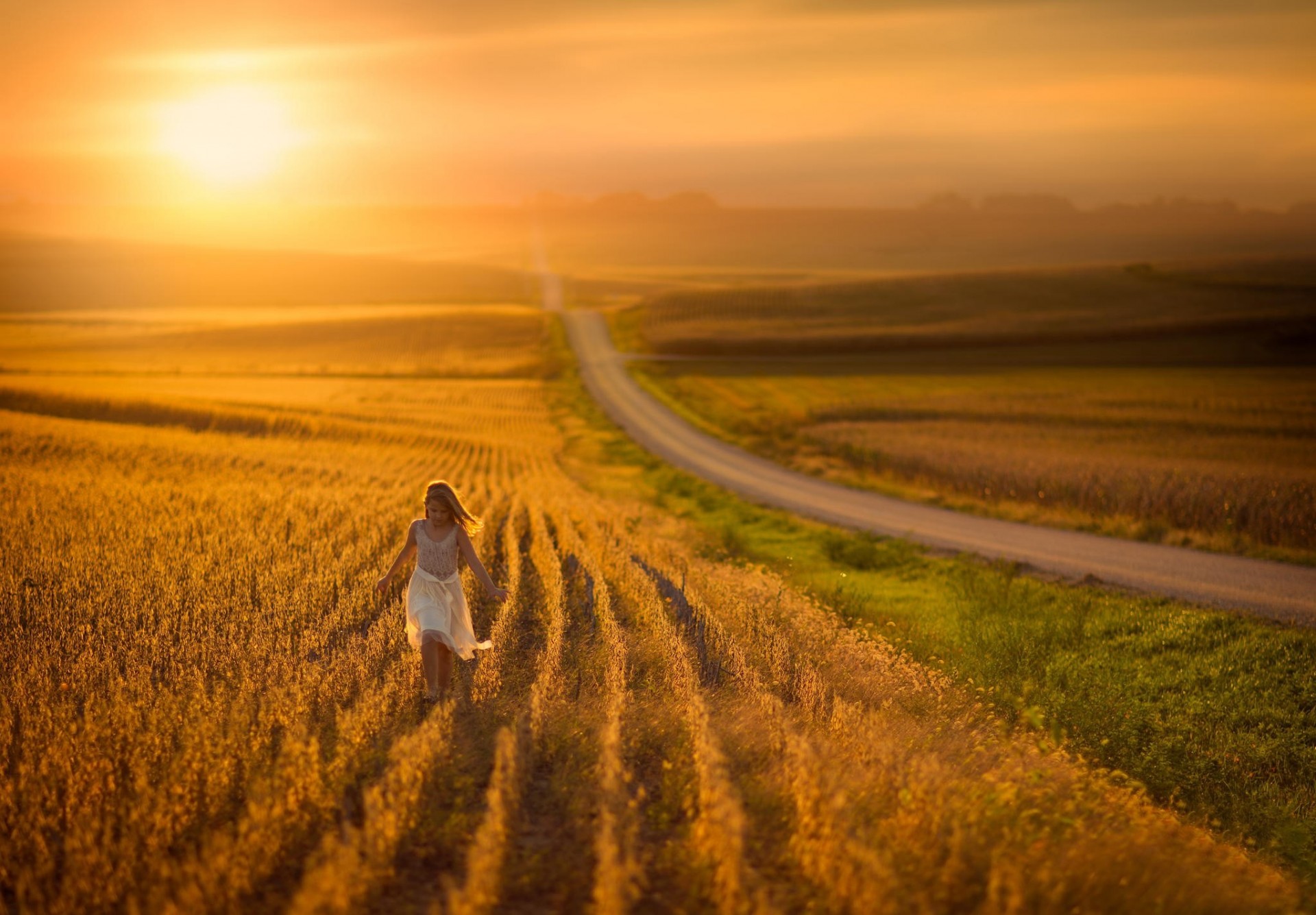 campo espacio camino muchacha luz del sol