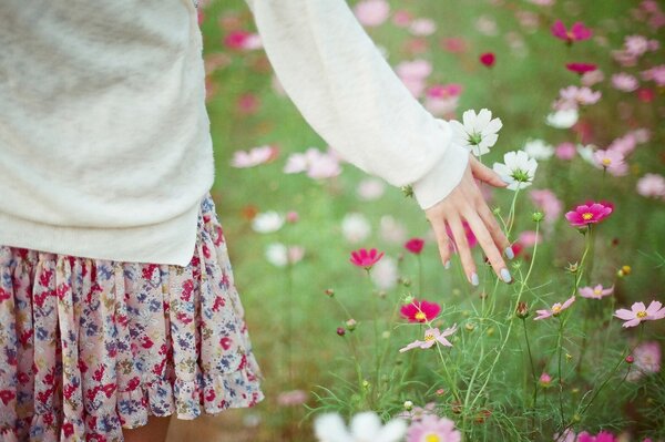 A girl in a clearing with flowers. Girl in a skirt