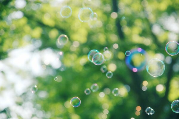 Soap bubbles flying in the air