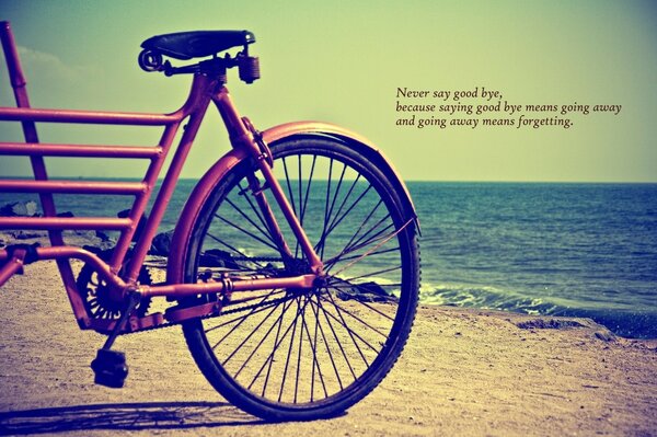 Vintage bicycle on the background of the sea