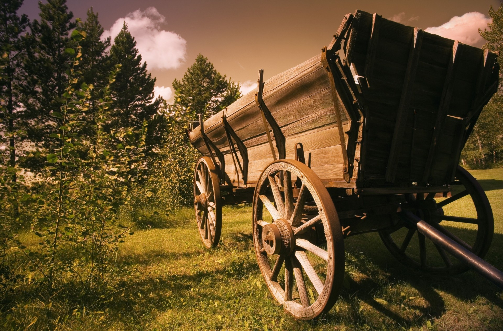 blatt wagen vollbild widescreen stimmung natur hintergrund felgen räder tapete kaffee