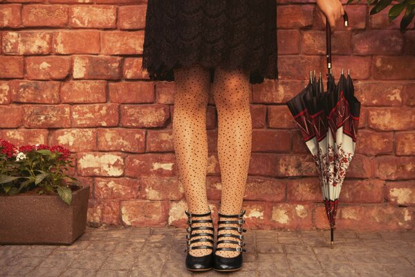 Fille avec parapluie et en collants mouchetés sur fond de mur de briques