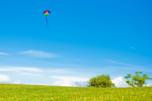 A kite in the blue sky