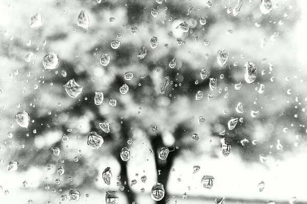 La lluvia cae fuera de la ventana