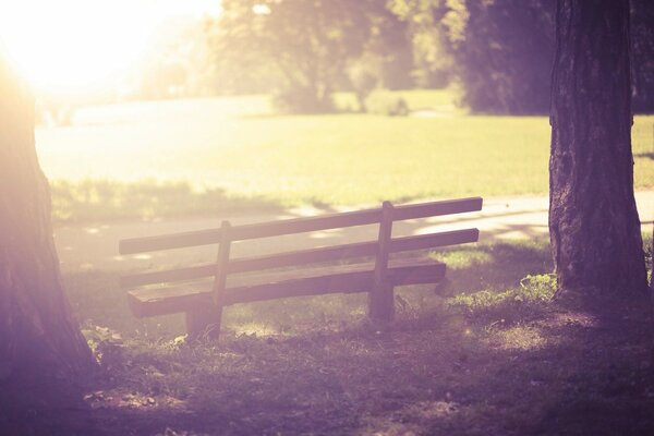 Ambiance confortable, chaleureuse et automnale