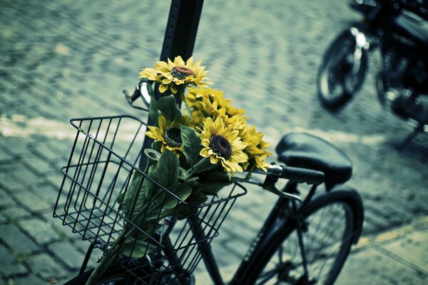 A parked bicycle with a bouquet of sunflowers