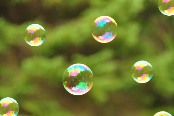 Beaucoup de bulles colorées sur fond de verdure