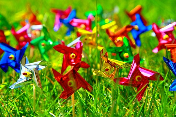 Разноцветные вертушки в траве