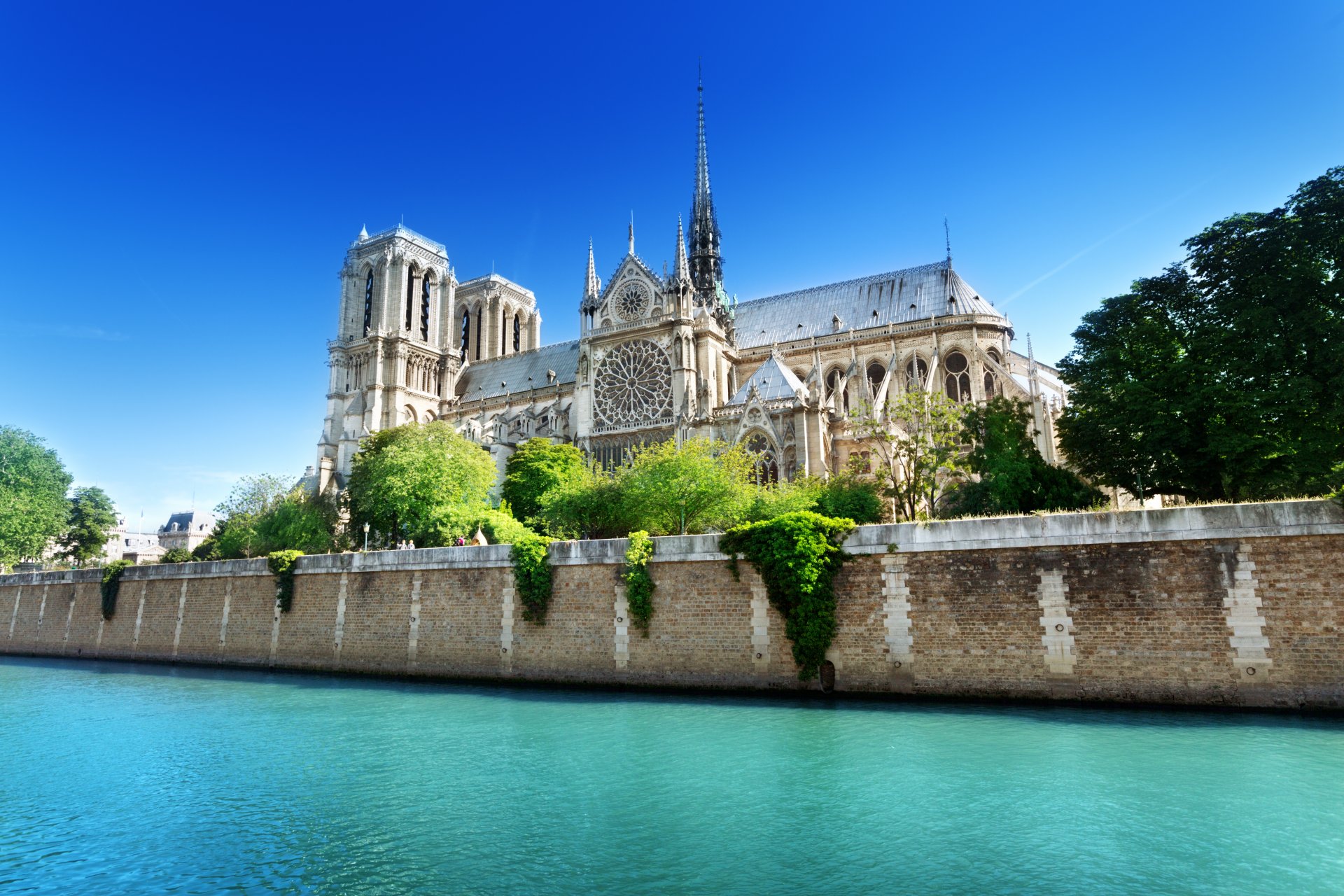 notre dame de paris francia parís catedral de notre dame notre dame de paris ciudad río sena agua azul verano vegetación árboles