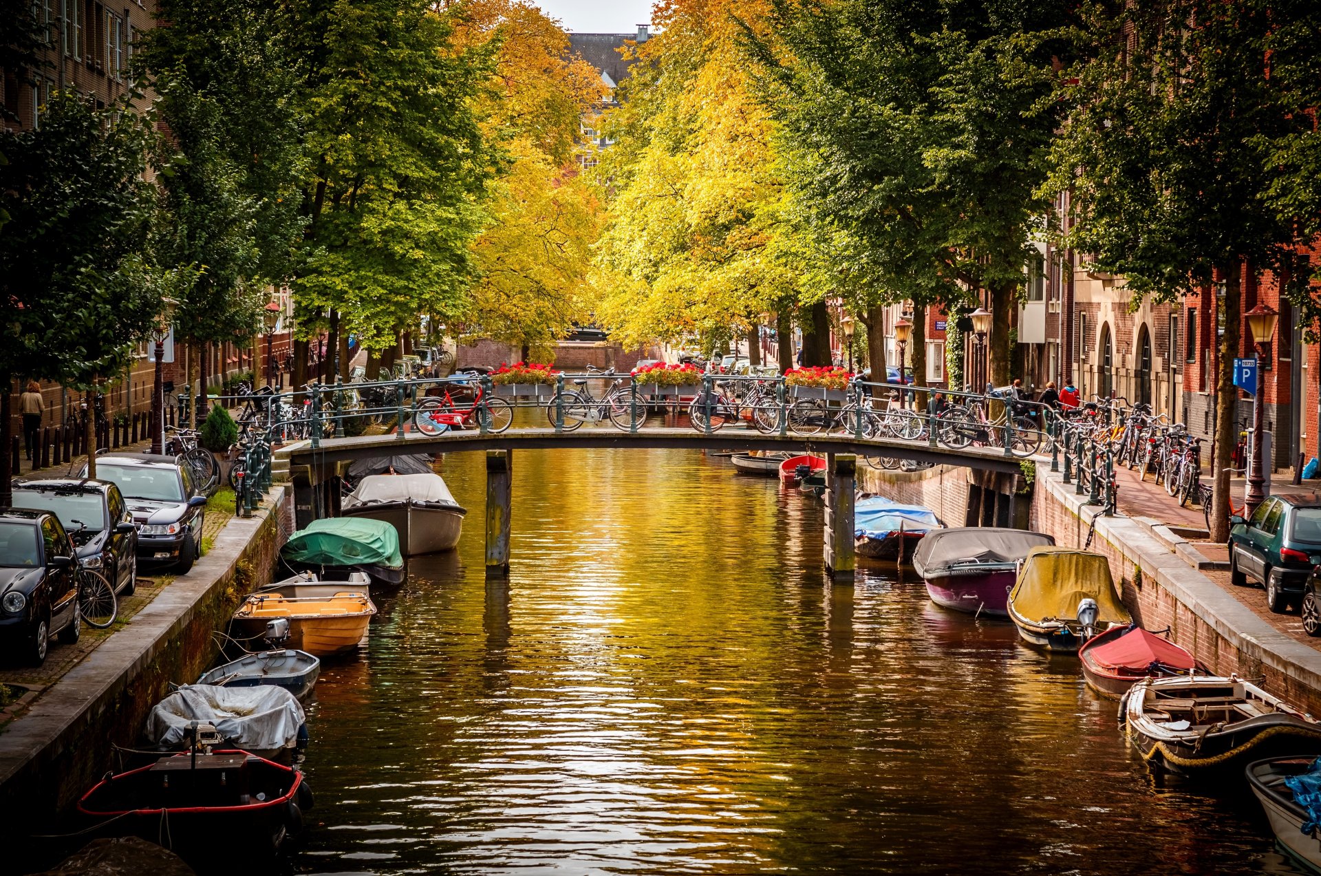 amsterdam niederlande stadt brücke fahrräder autos straße kanal fluss wasser boote bäume herbst