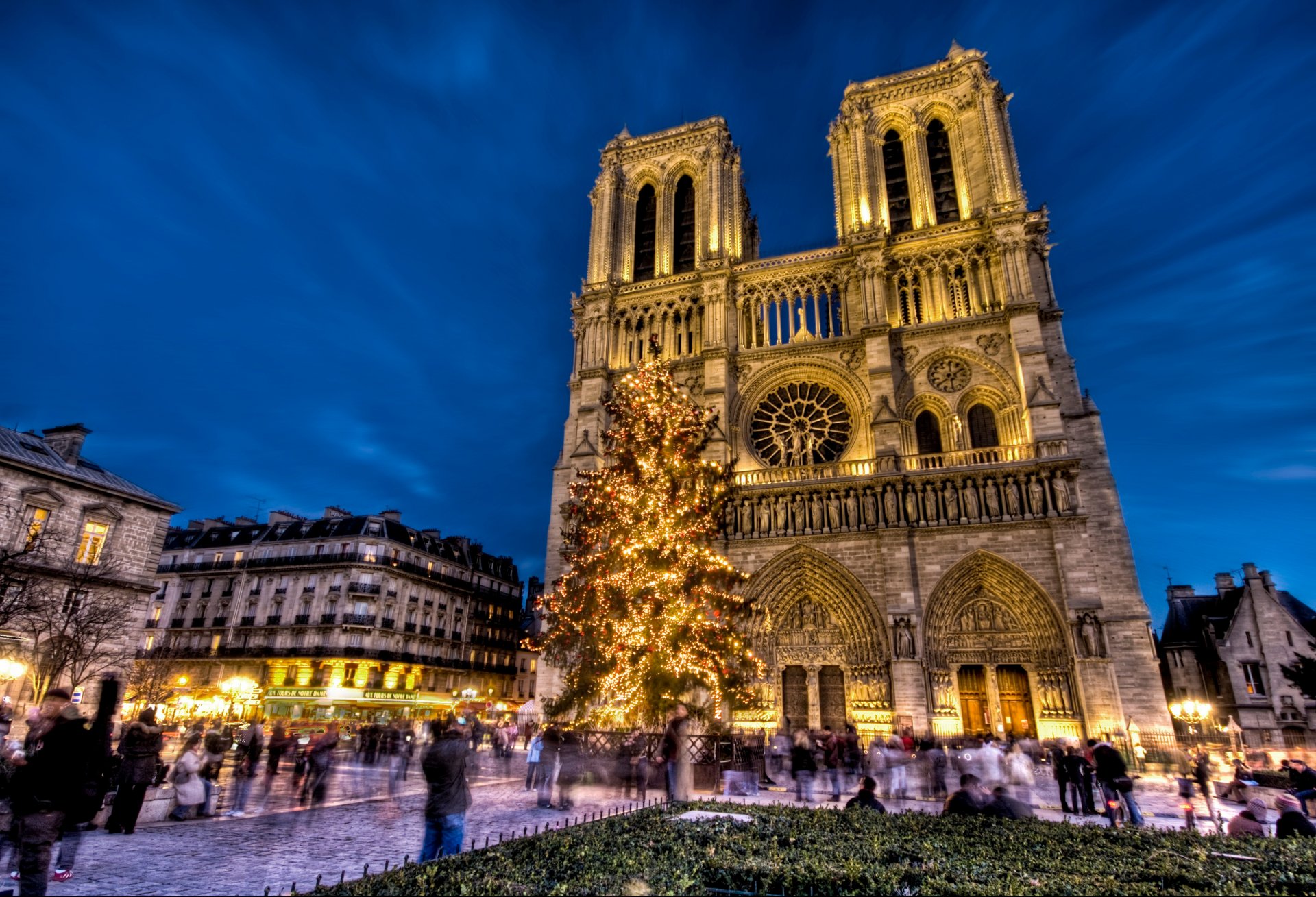 notre dame de paris kathedrale unserer lieben frau von paris notre dame de paris paris frankreich platz neujahr weihnachtsbaum feiertag