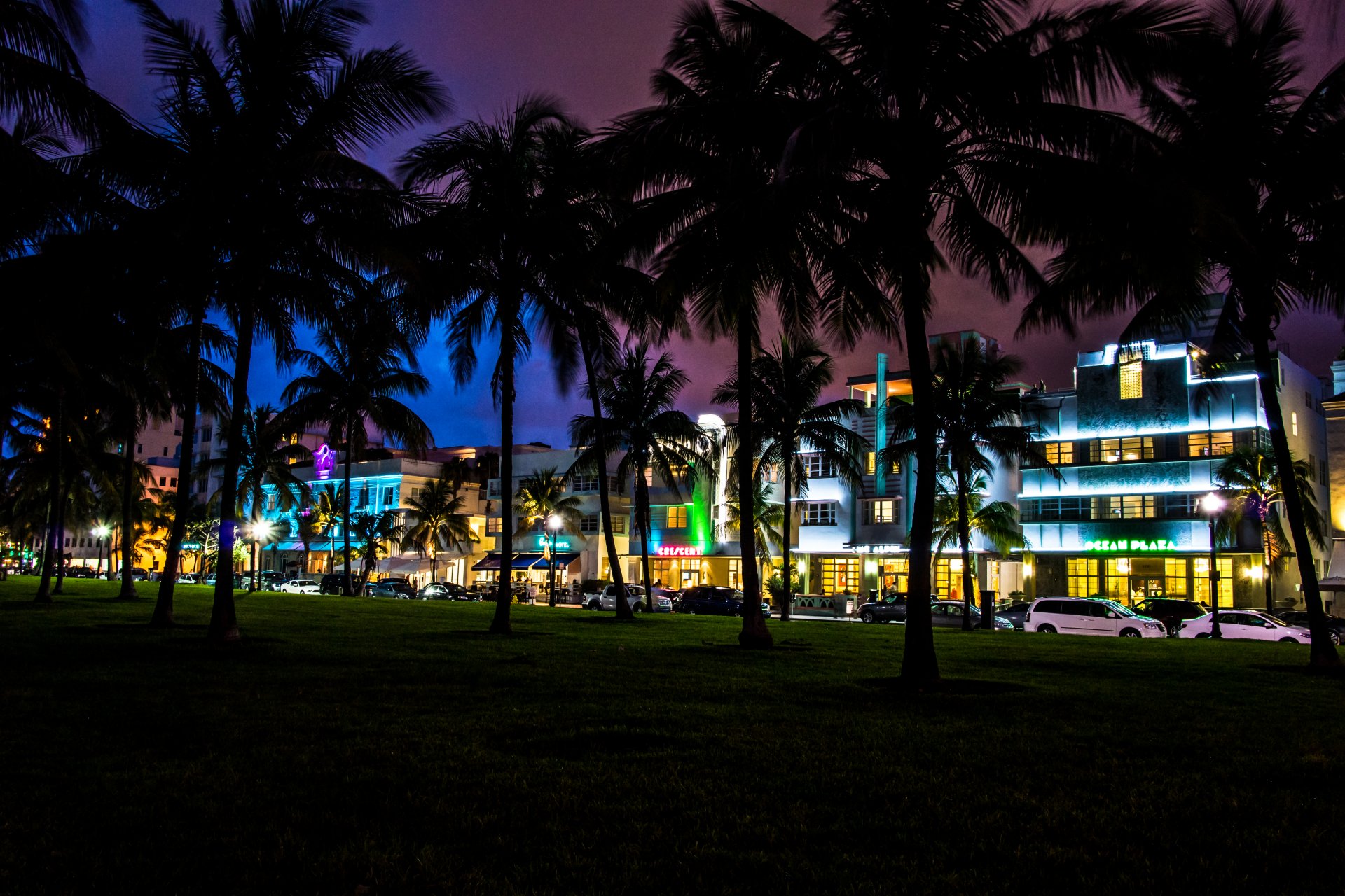 miami florida south beach nacht palmen autos häuser hotels vize-stadt