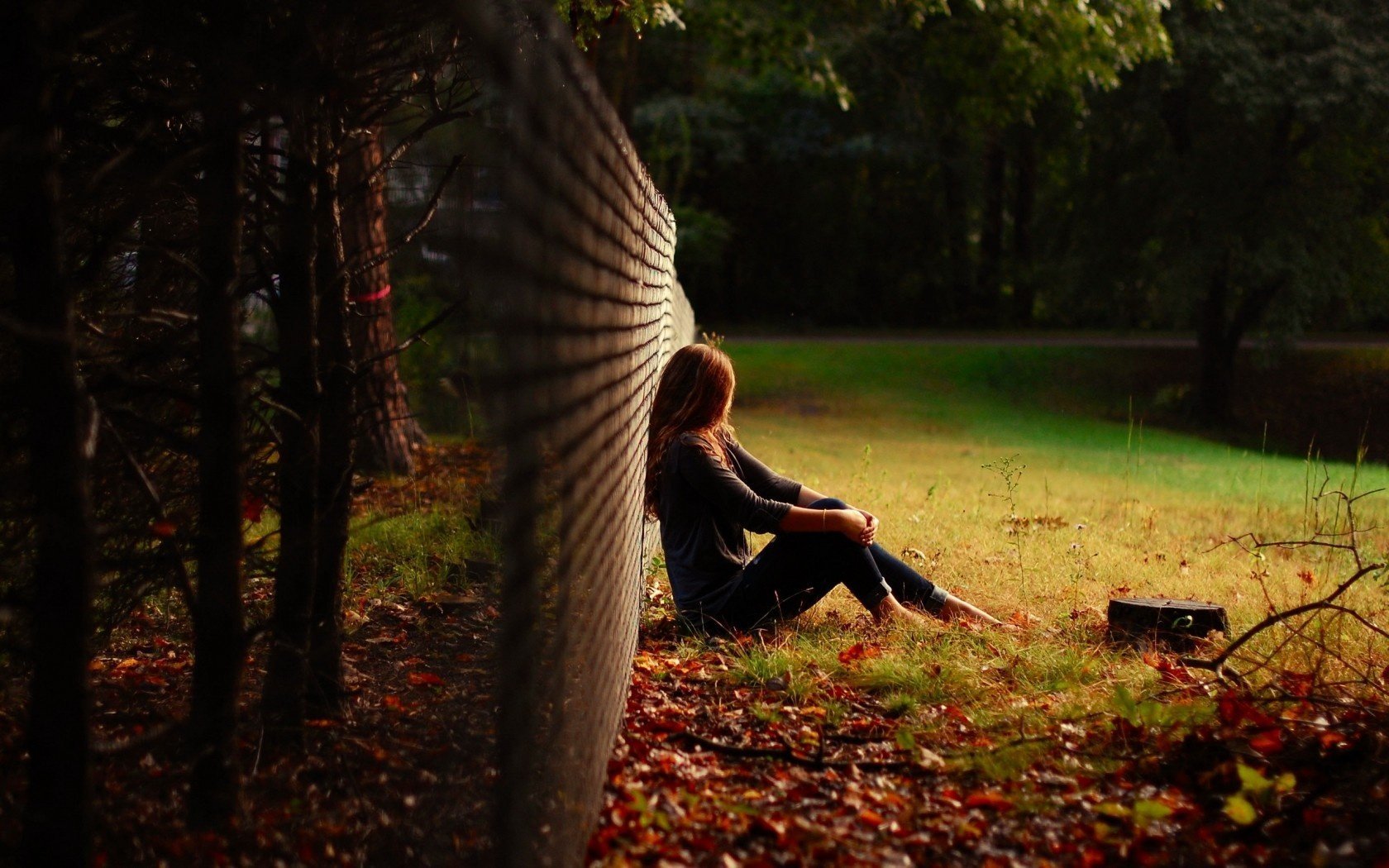 girl field the fence mood