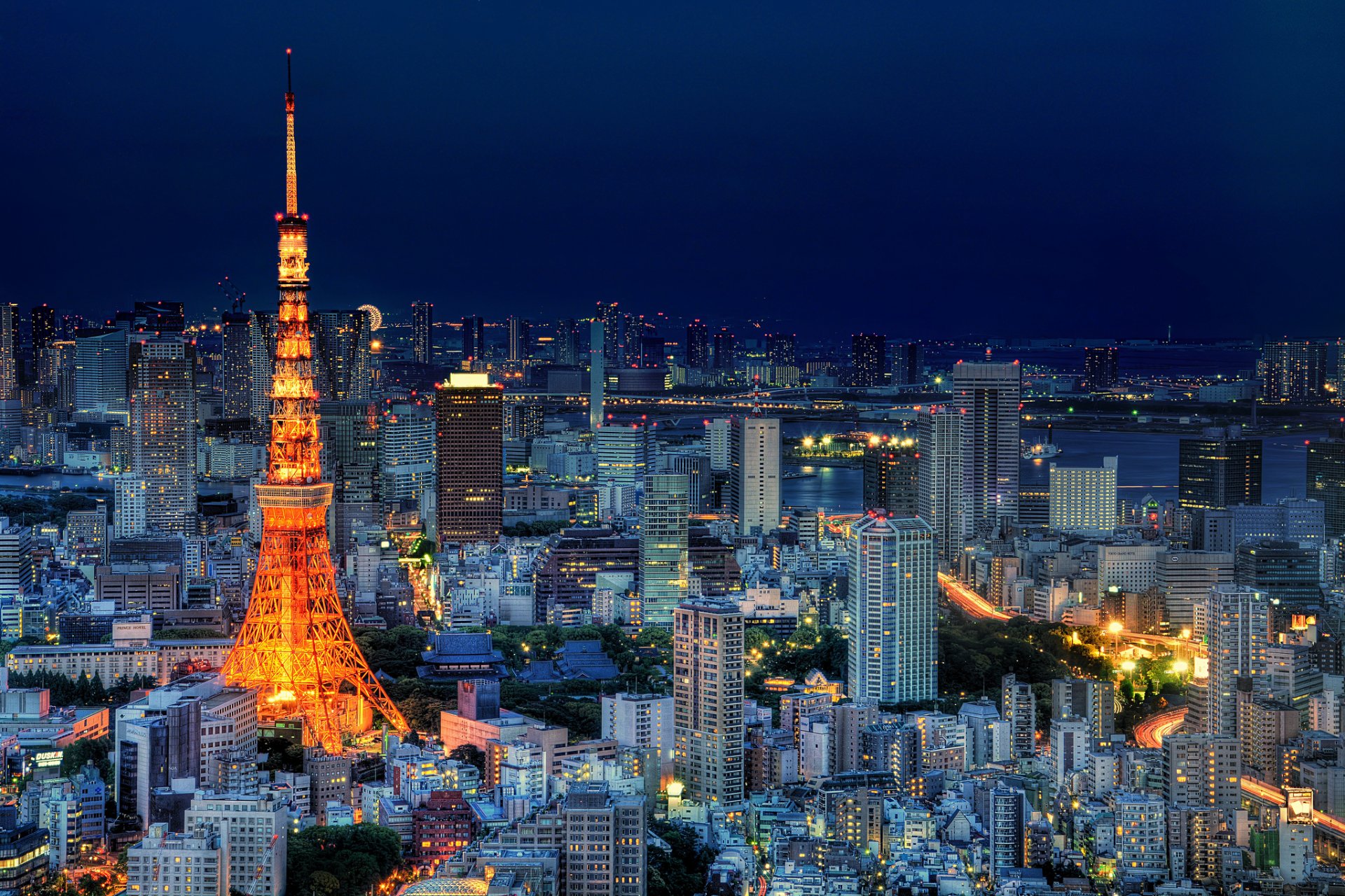 japon tokyo capitale capitale métropole lumières éclairage tour maisons bâtiments gratte-ciel nuit bleu ciel