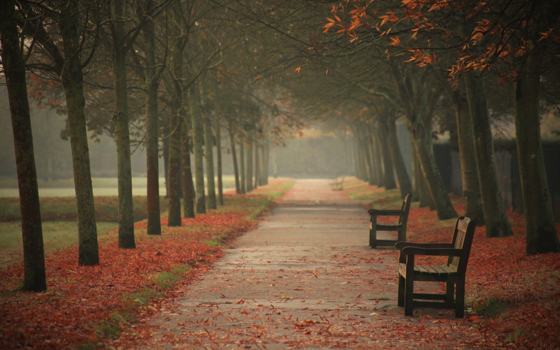 town street autumn