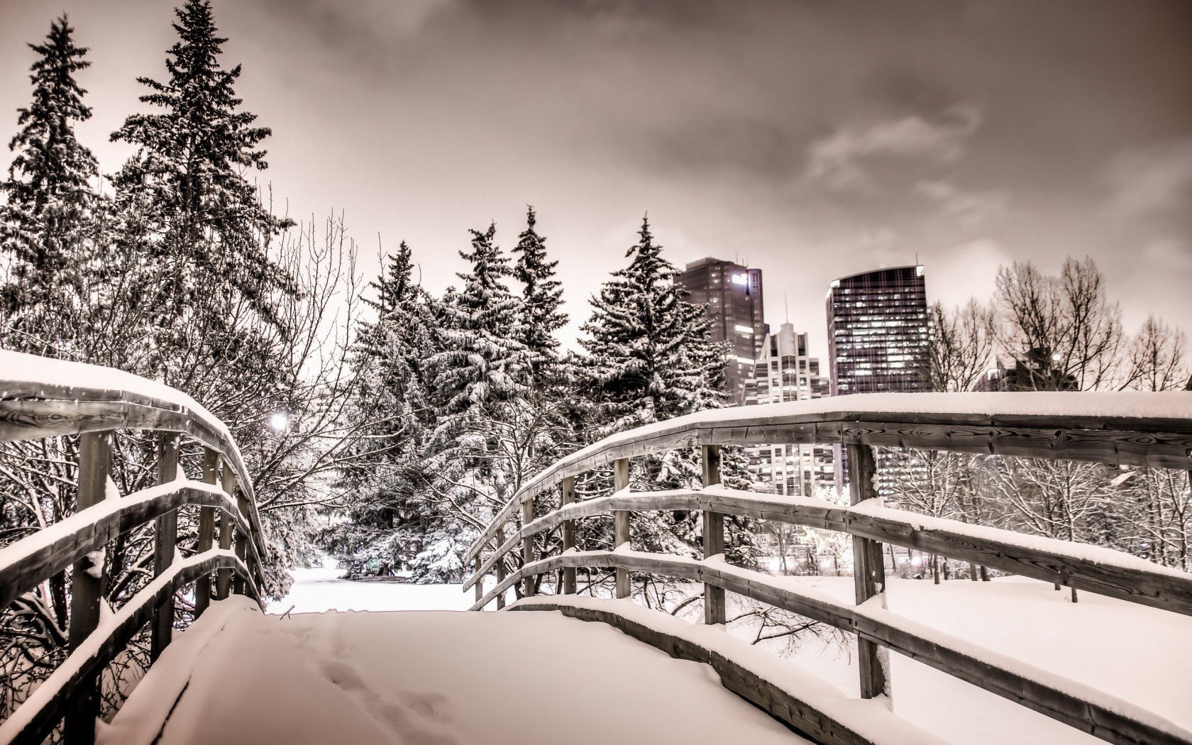 the city park calgary night