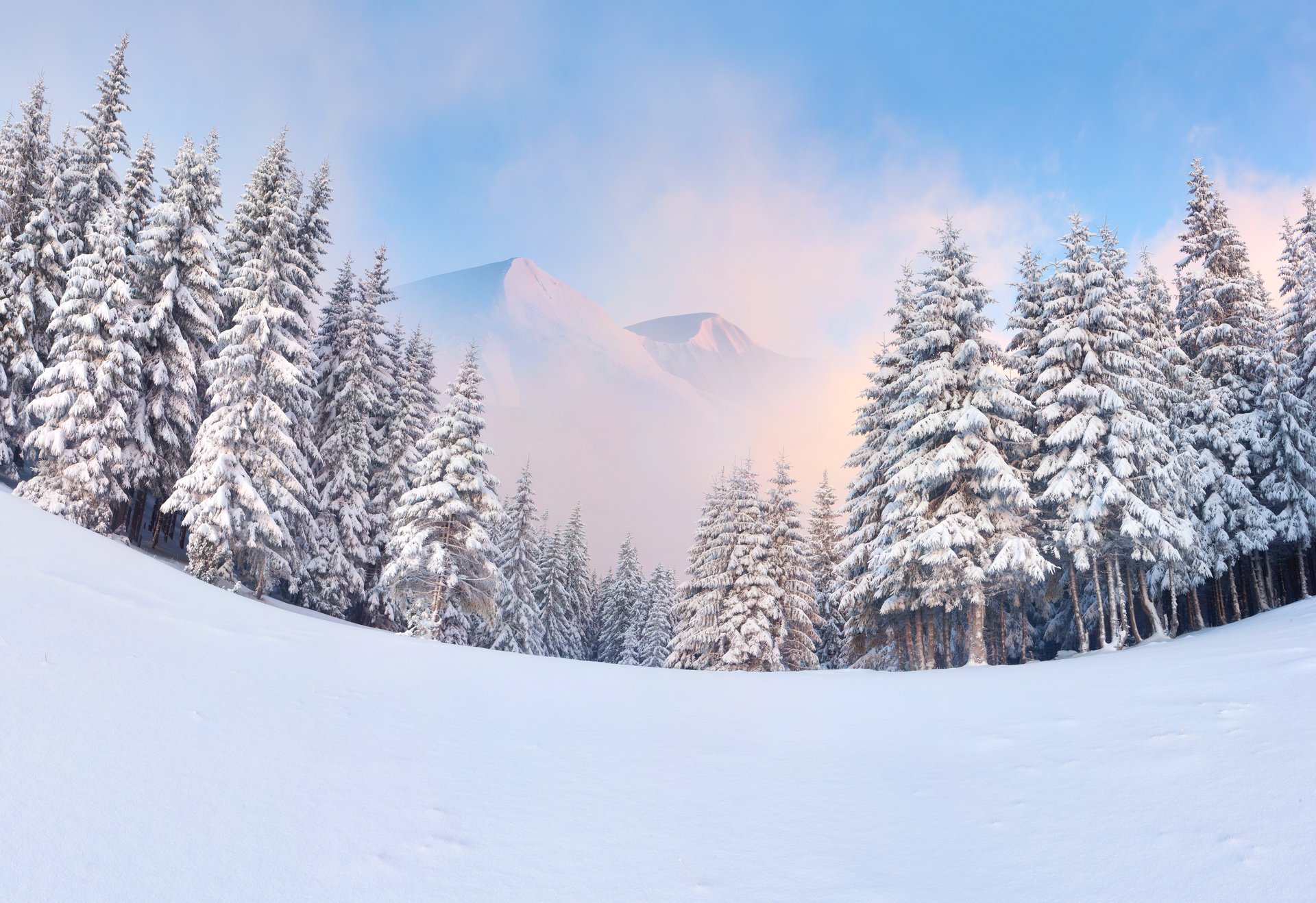 invierno montañas árboles de navidad bosque nieve