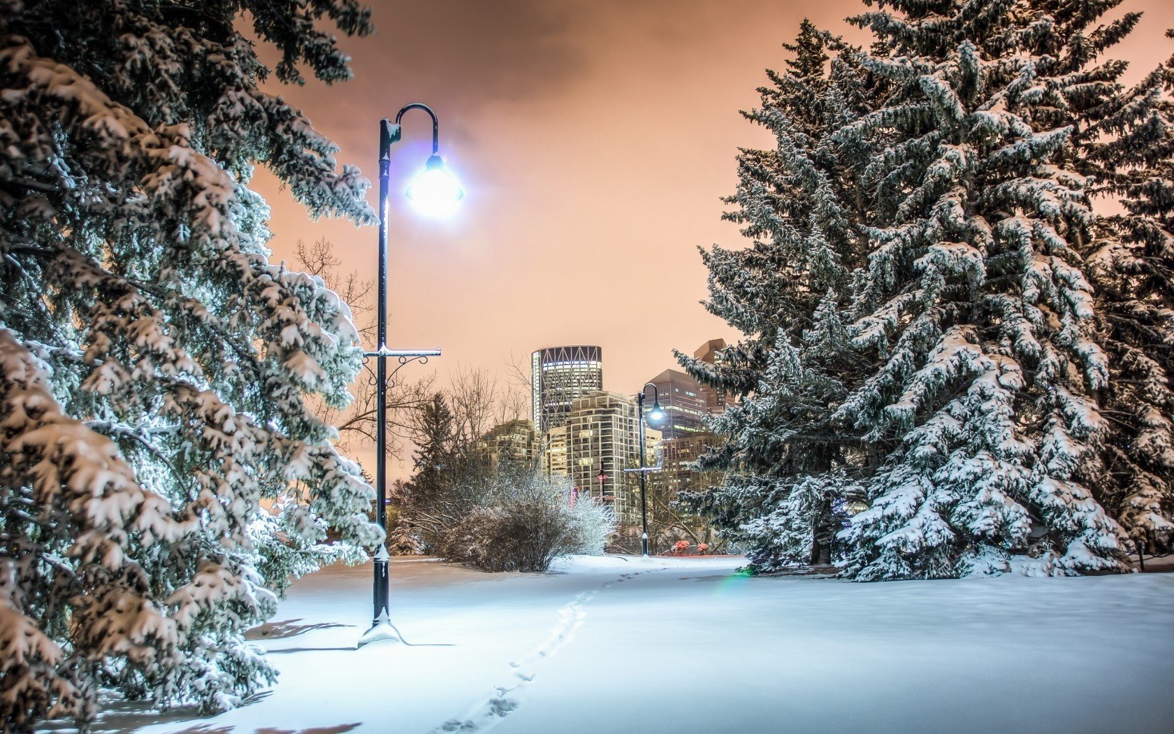 nacht park calgary stadt