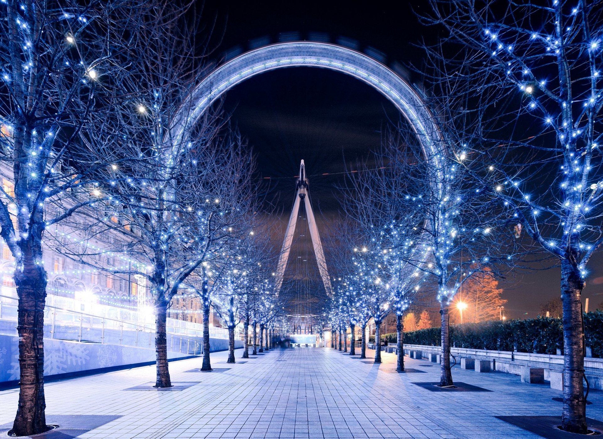 london eye london eye londres inglaterra reino unido rueda de la fortuna noche noche iluminación camino árboles guirnalda