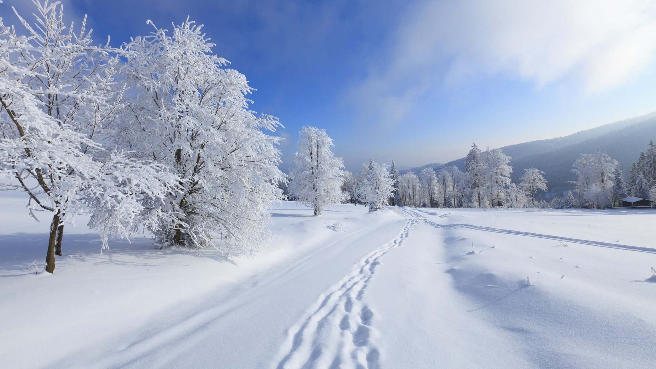 árboles escarcha invierno nieve montañas paisaje nubes cielo