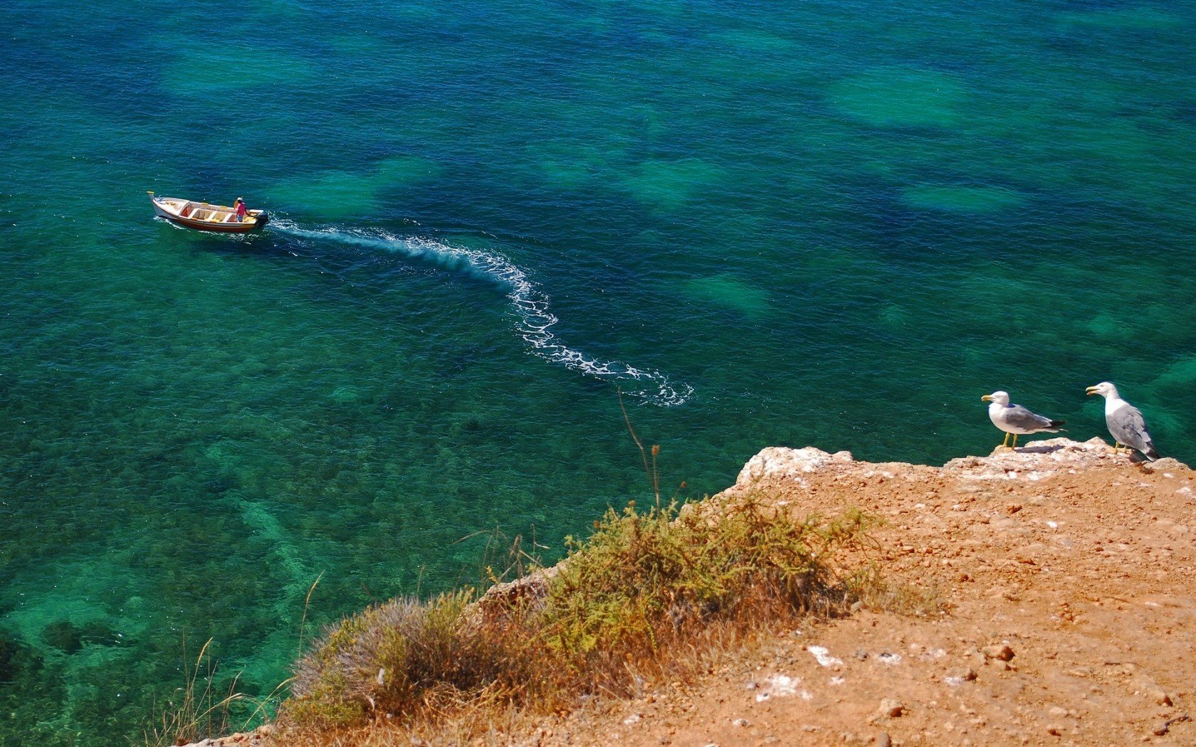 mare rocce gabbiani barca riva