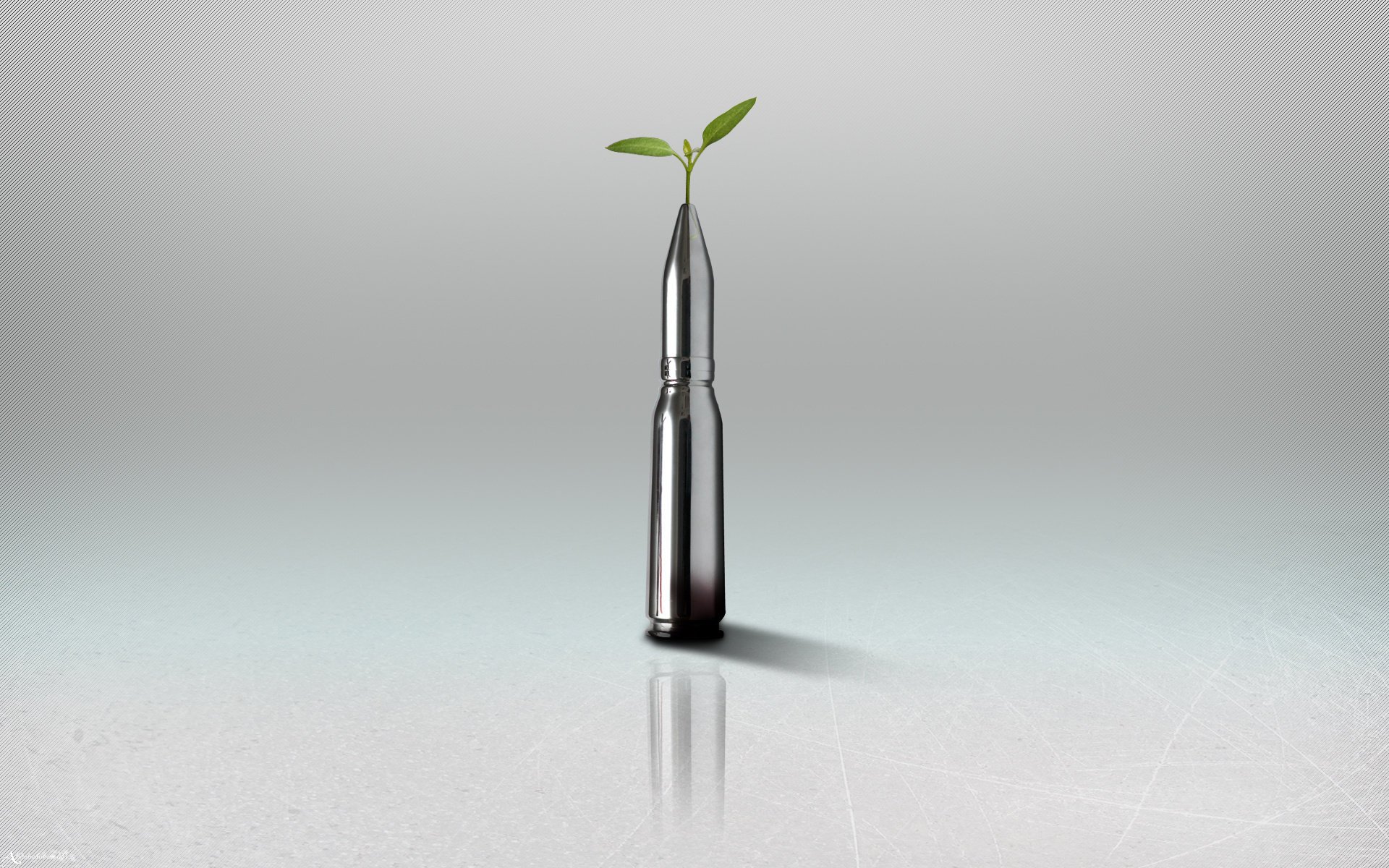 planta bala minimalismo