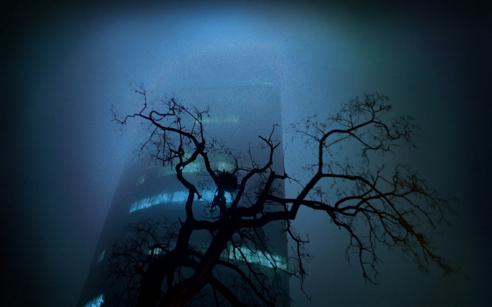 noche ciudad árbol edificio