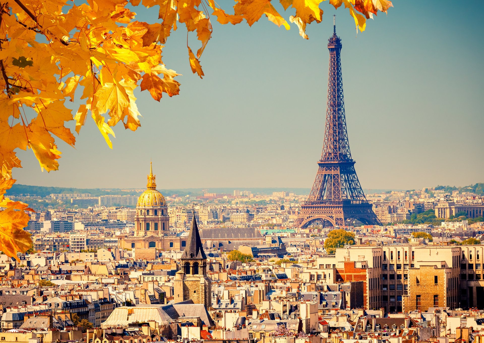 francja paryż la tour eiffel wieża eiffla miasto panorama widok budynek domy kopuły dachy tło jesień liście żółty