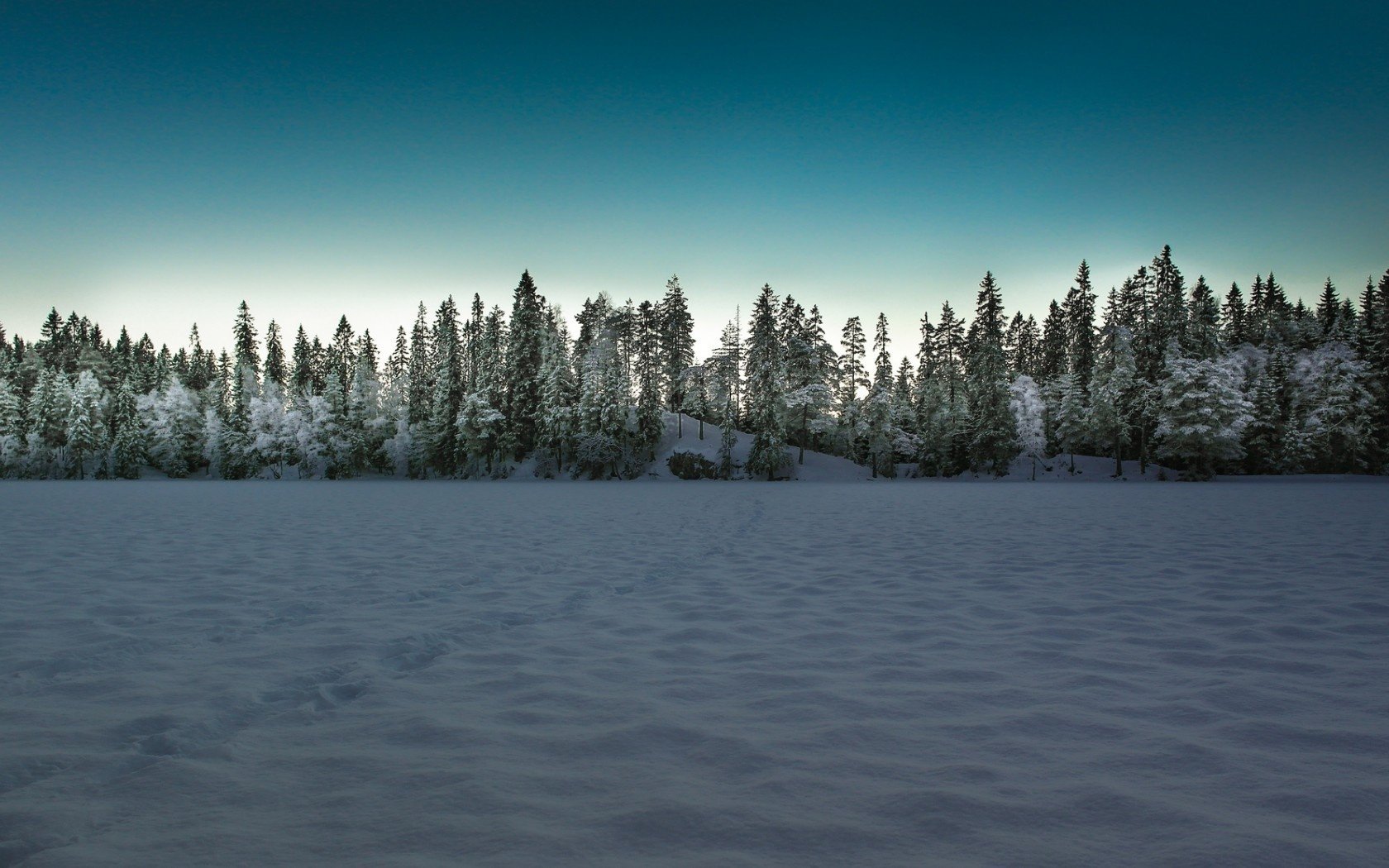 champ hiver paysage