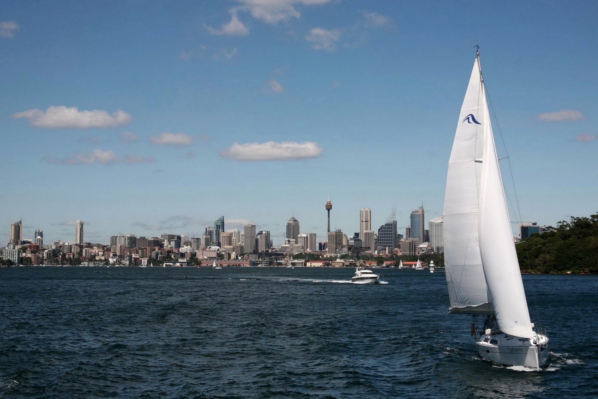 città di sydney in australia sulla riva grattacielo torre della televisione in acque navigano barche e barche a vela