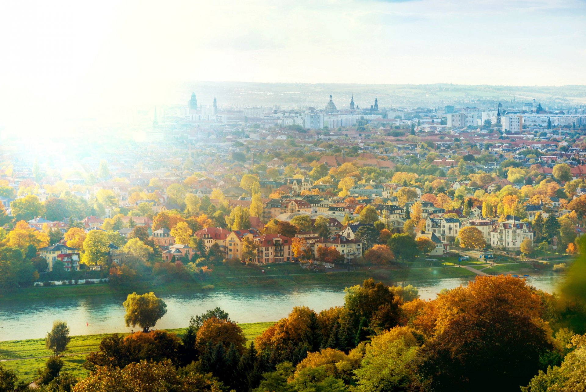 dresden germany elbe river city sun light houses trees autumn