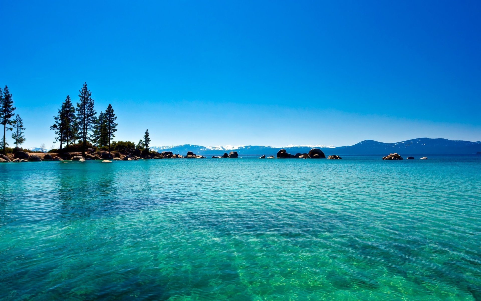 california jezioro niebieski woda lake tahoe las