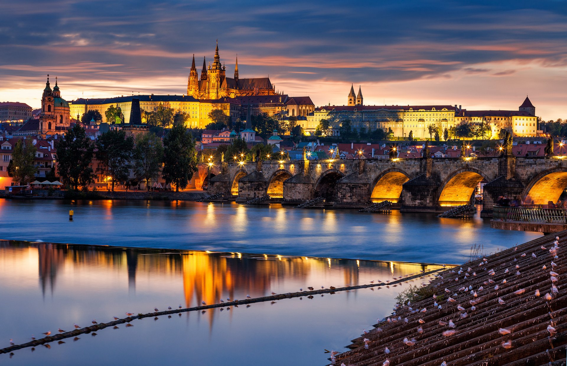 praga checo república checa ciudad puente río moldava noche arquitectura edificios