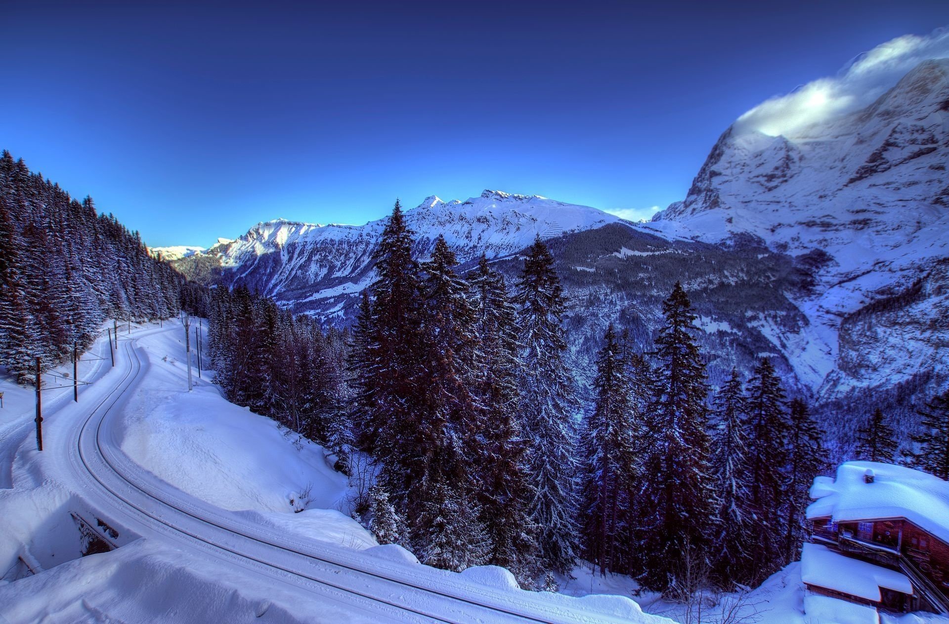 alps switzerland winter snow trees railroad