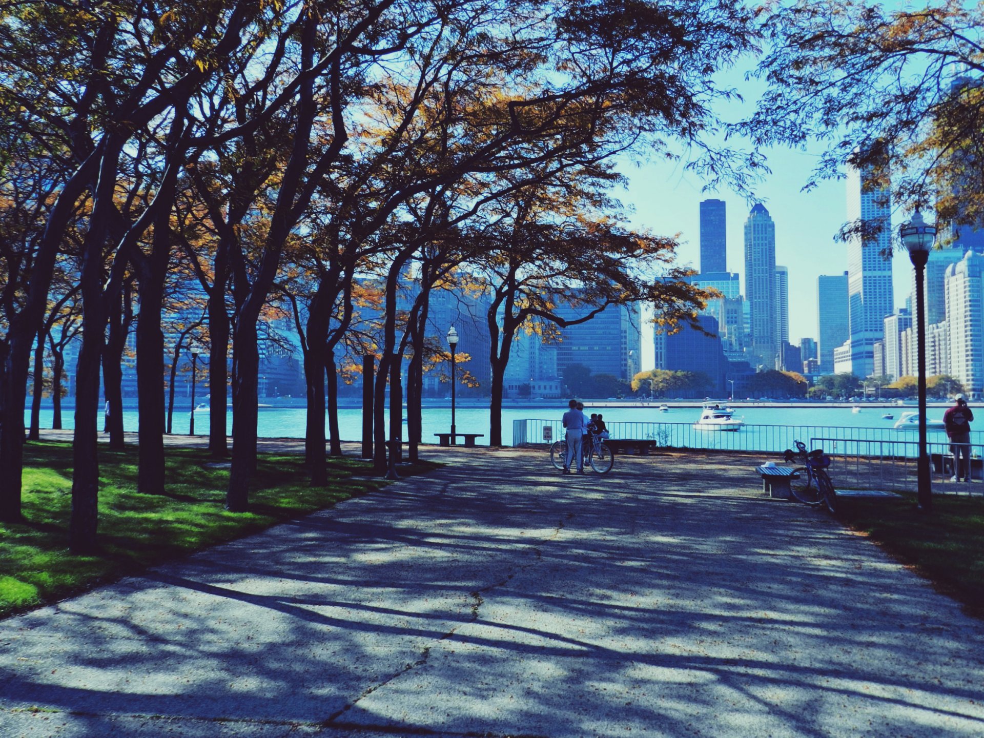 chicago wolkenkratzer park menschen herbst