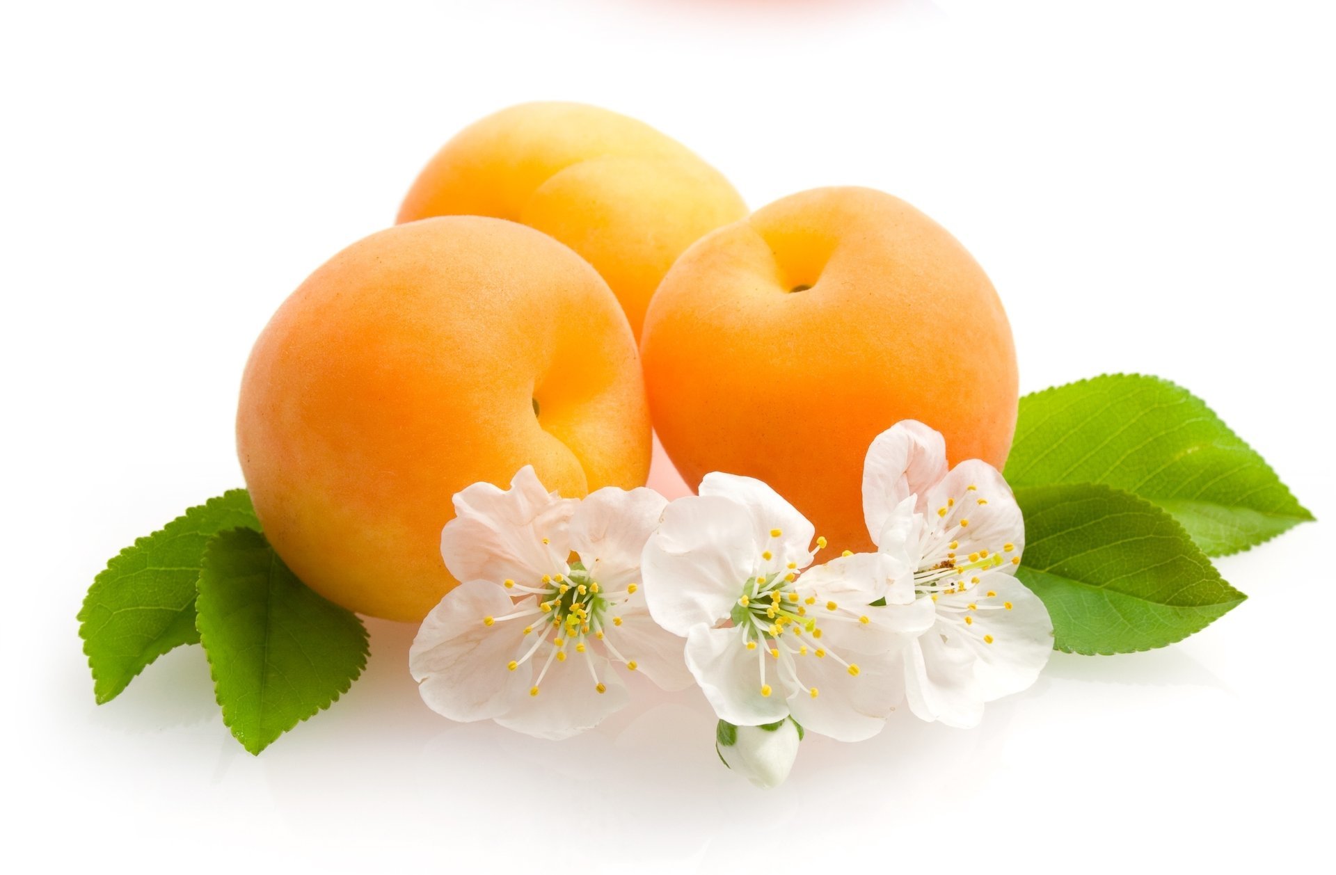 fruits fleurs abricots feuilles