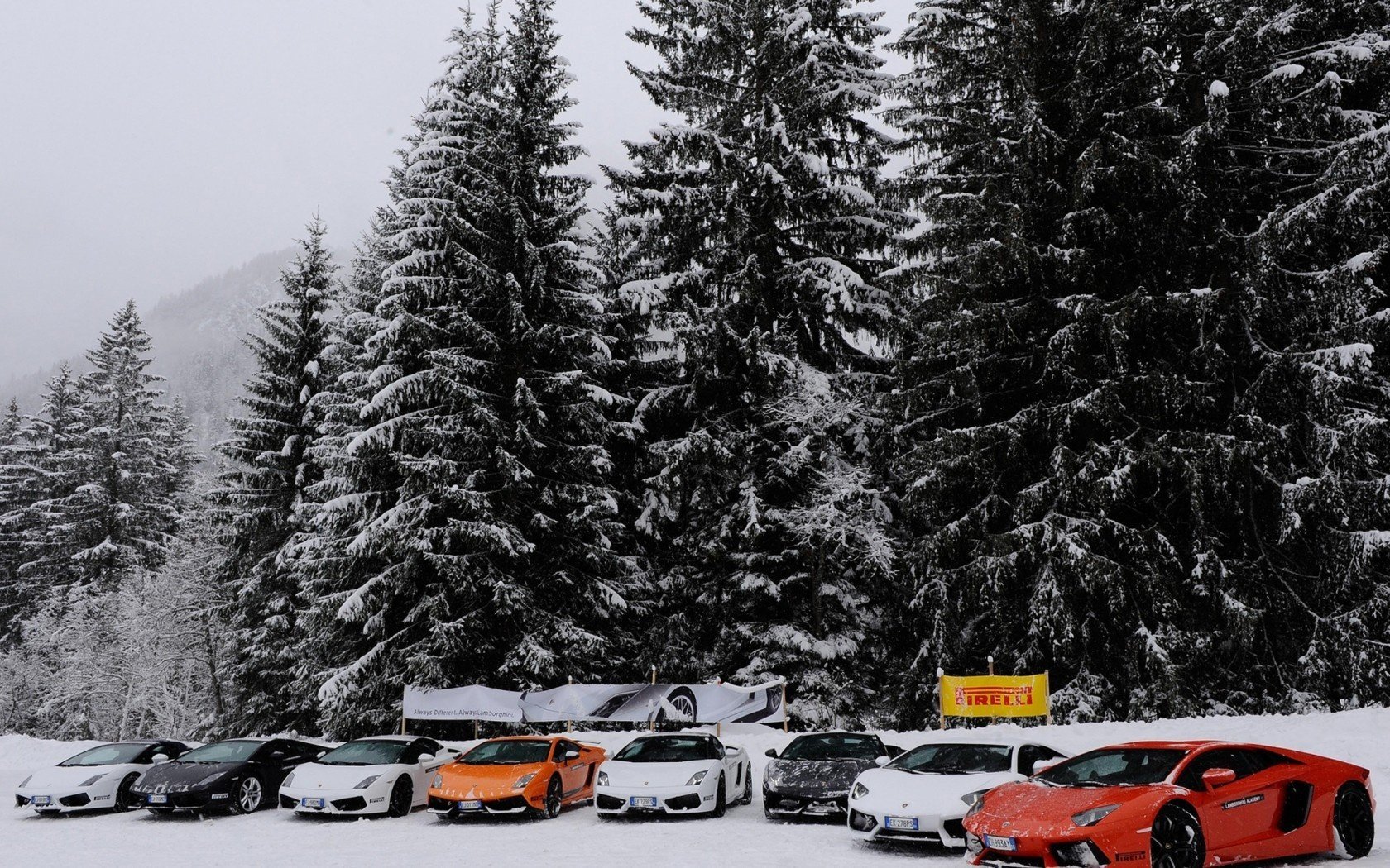 lamborghini aventador зима ели снег gallardo