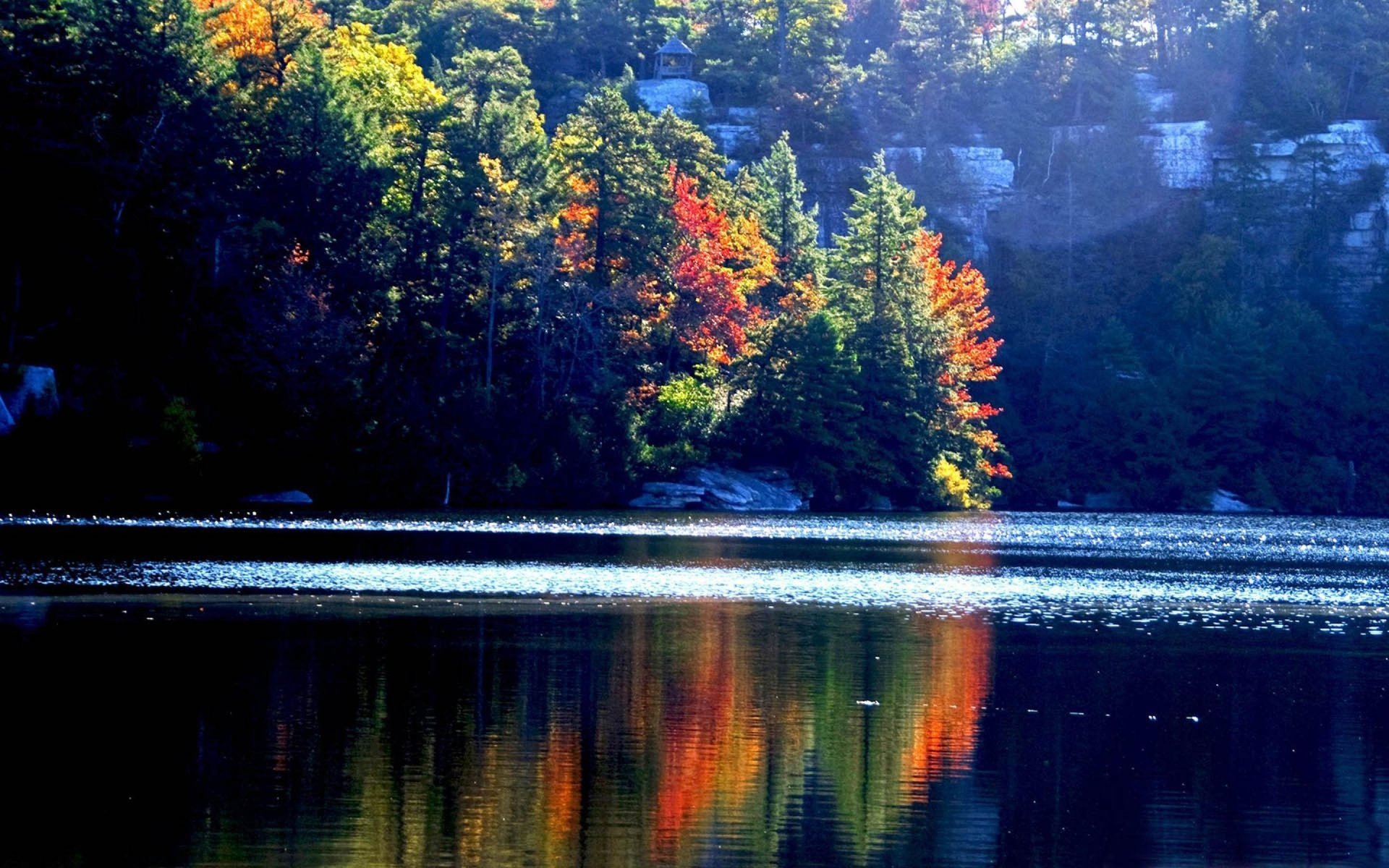 herbst wald see