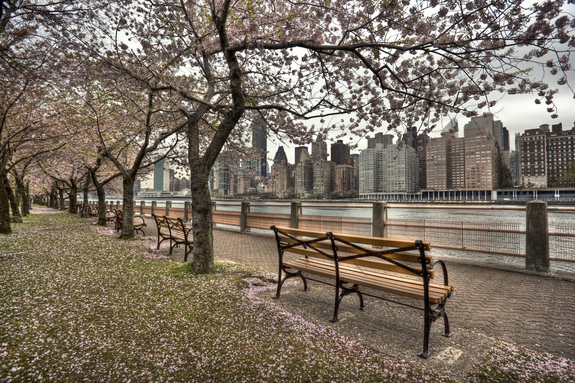 roosevelt island nueva york estados unidos paseo marítimo ciudad río playa primavera