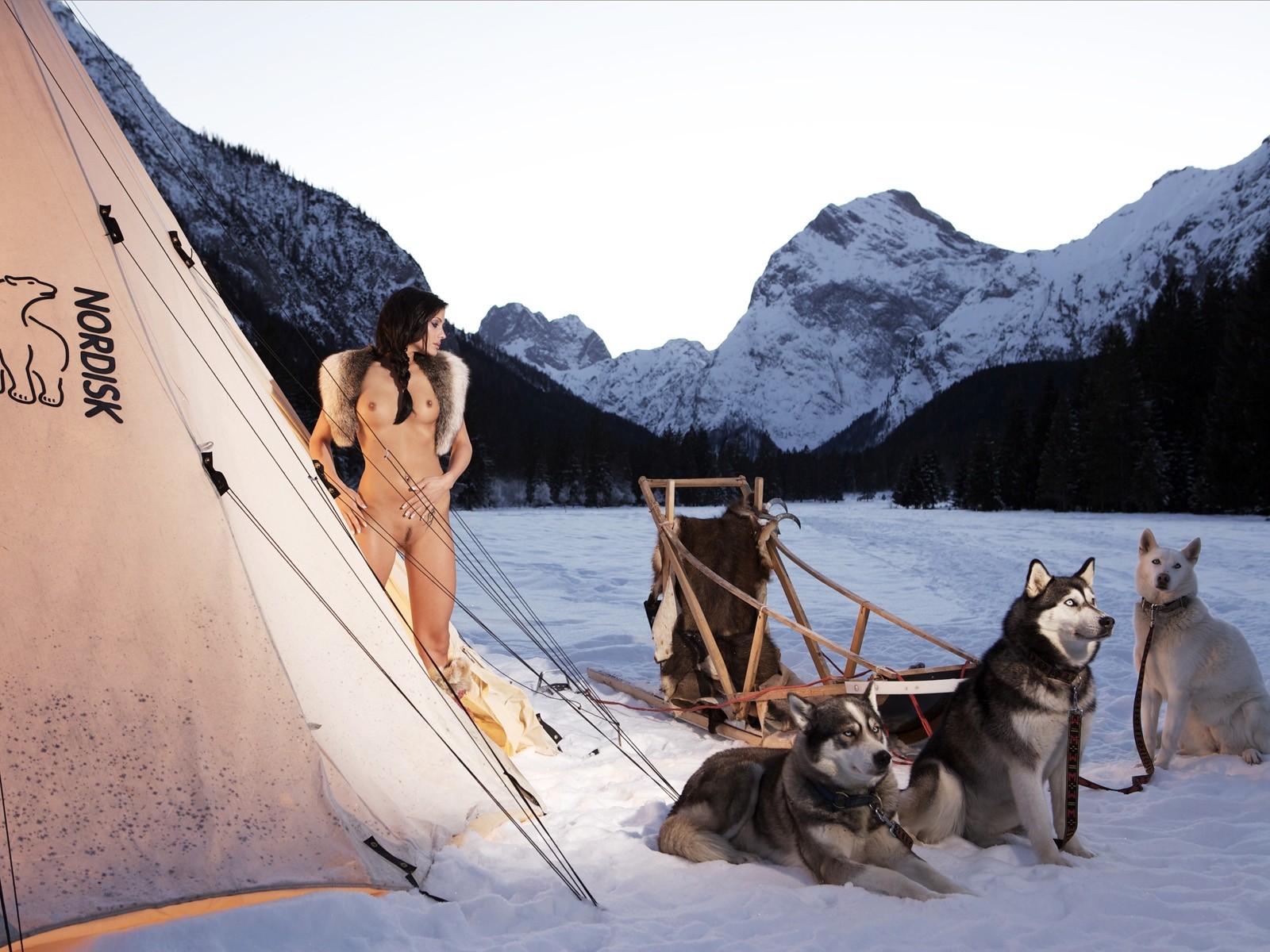 margarita waldman kumpel nackter körper schnee berge fell hunde