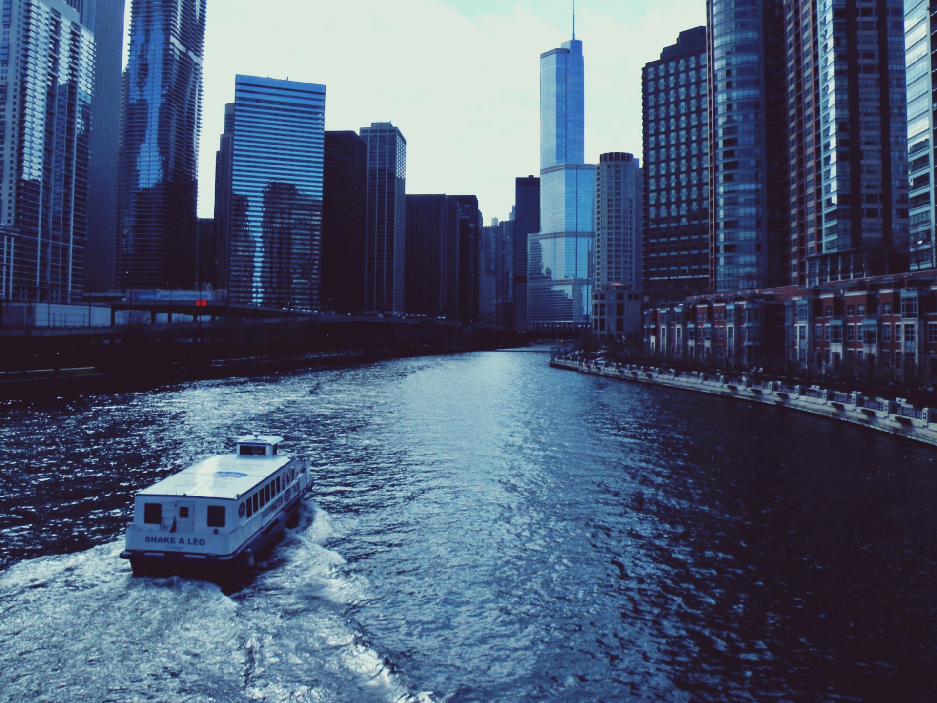 centre illinois chicago états-unis gratte-ciel rivière bateau à vapeur gratte-ciel