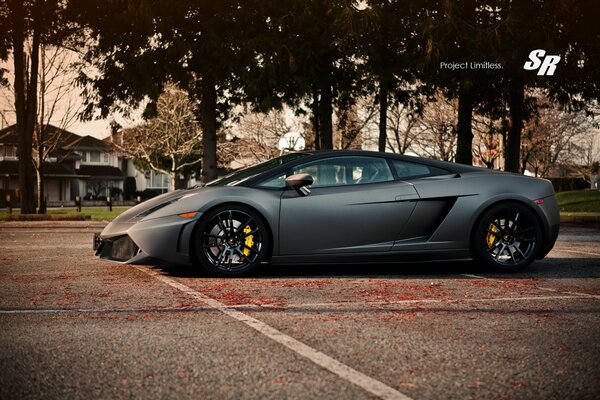 Lamborghini with a low landing on a background of dark trees
